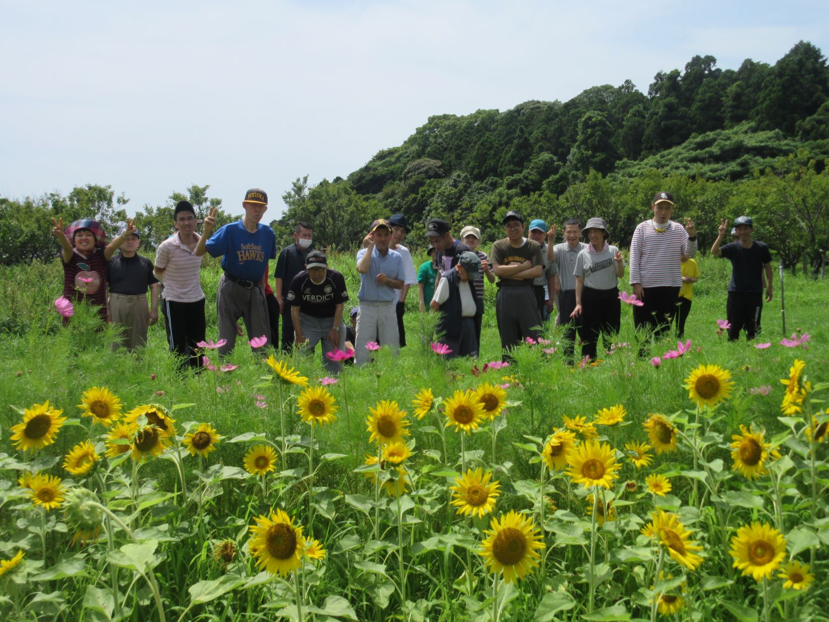 求める人材について