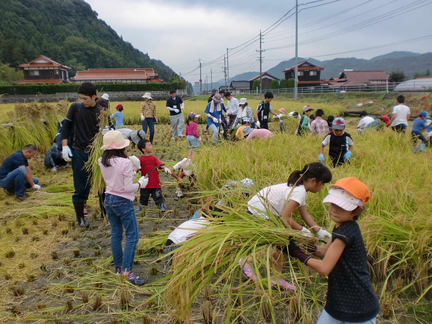 やりがい、働きがいについて
