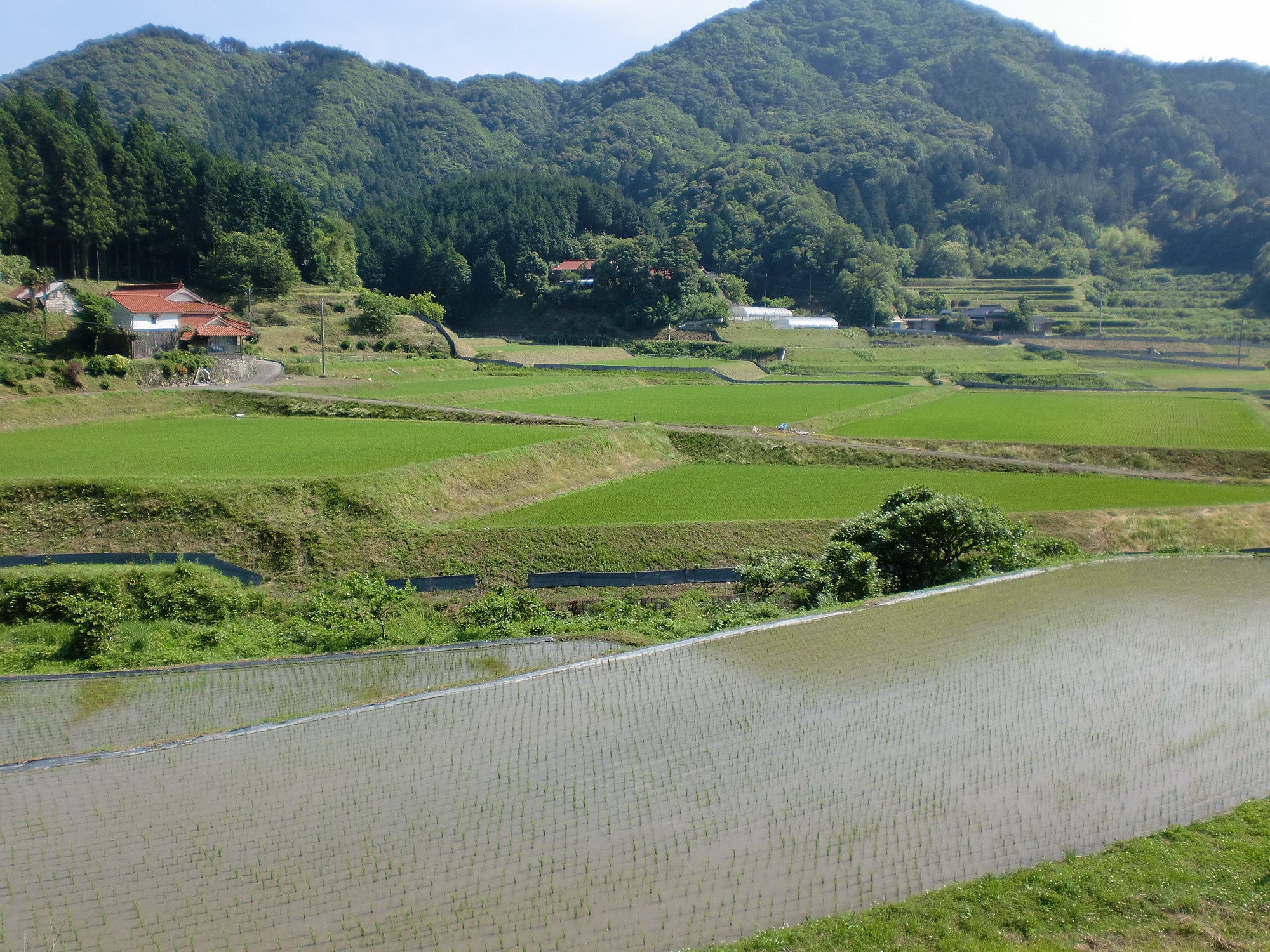 求める人材について