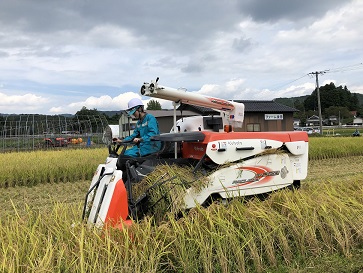 先輩からのメッセージ