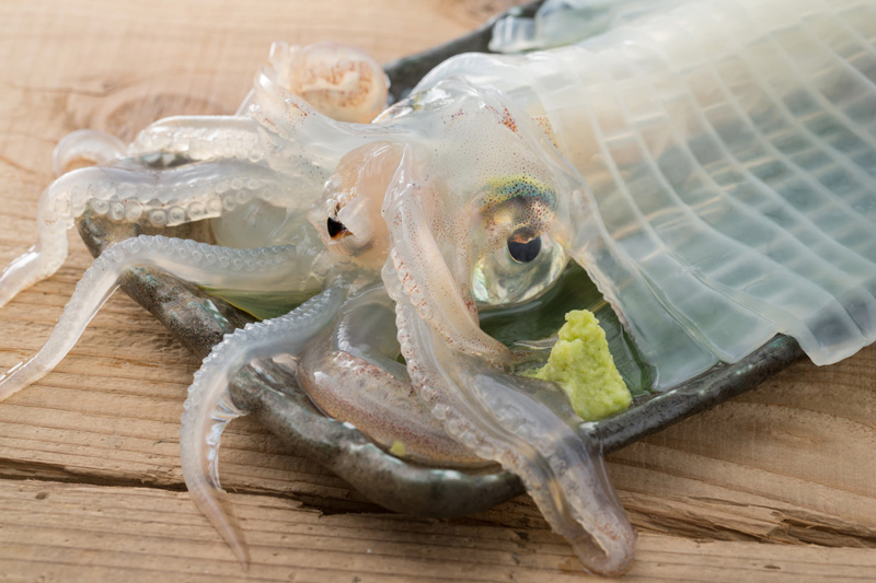 全国から人が訪れる理由