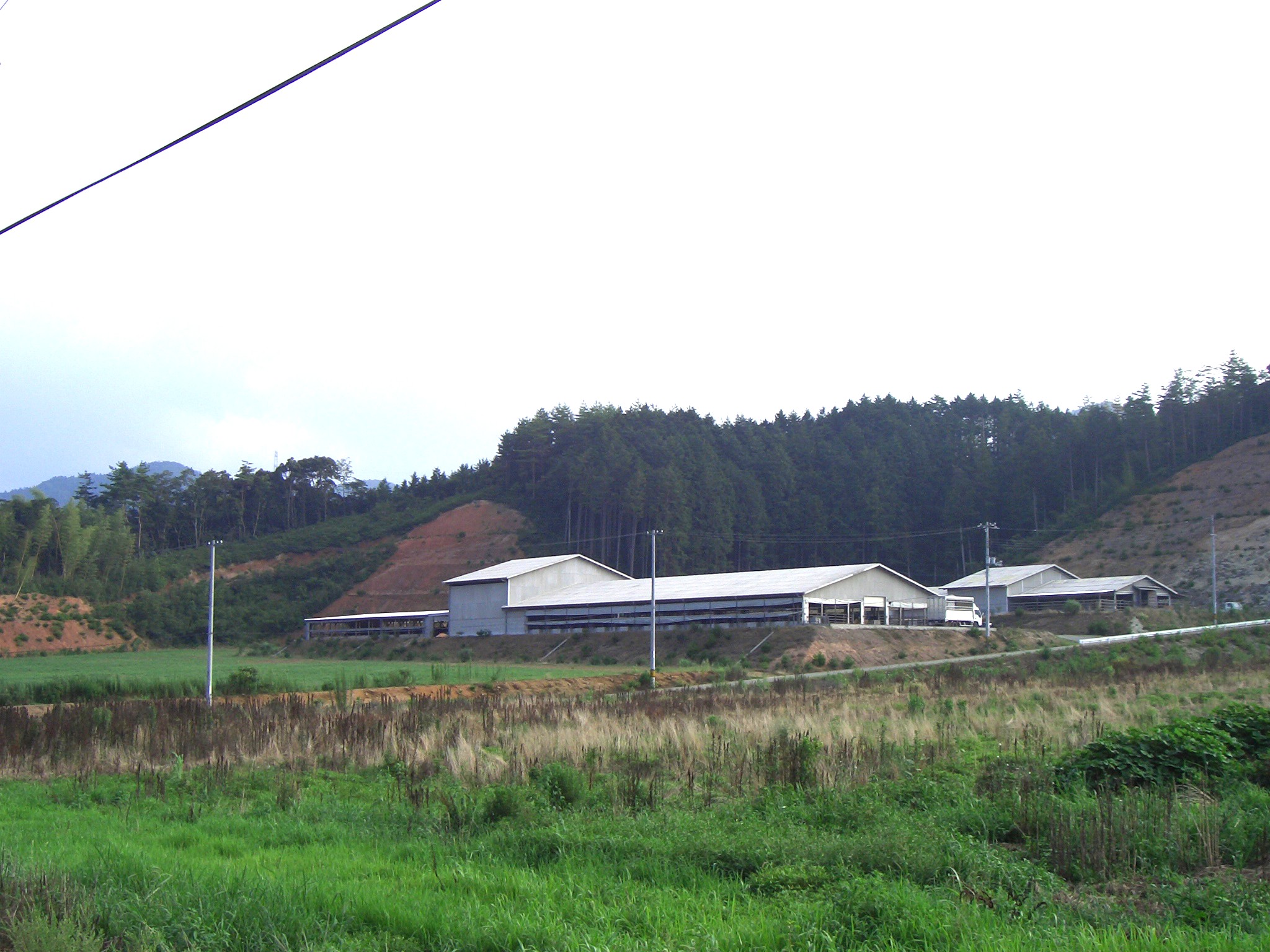 萩見蘭牧場